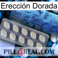 Erección Dorada 34